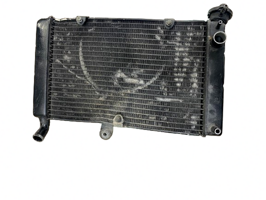 4TV124610000 Yamaha YZF600R 2001 Radiator OEM